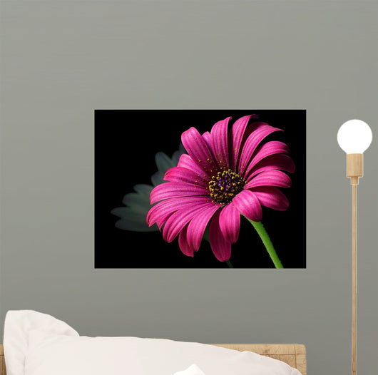 Purple Daisy Wall Decal
