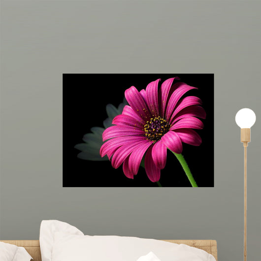 Purple Daisy Wall Decal