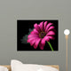 Purple Daisy Wall Decal