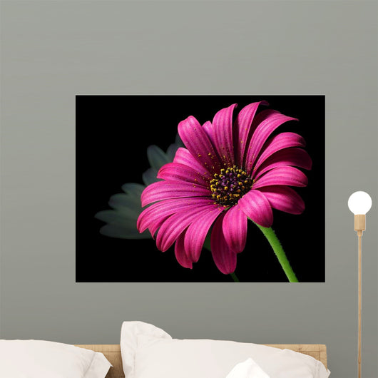 Purple Daisy Wall Decal