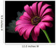 Purple Daisy Wall Decal