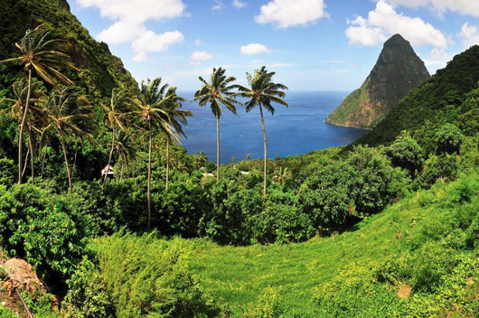 Saint Lucia Tropical Caribbean Wall Decal