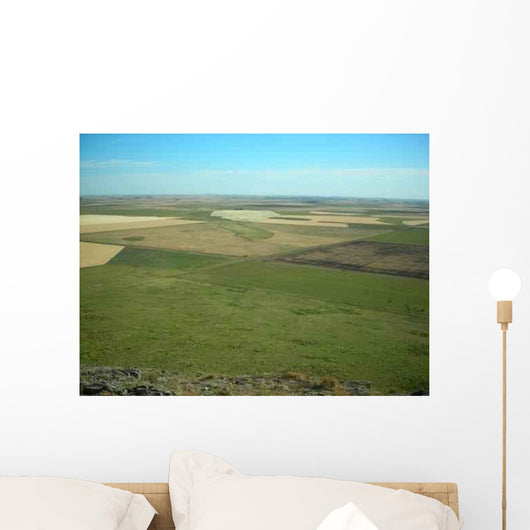 Pampa Wall Decal