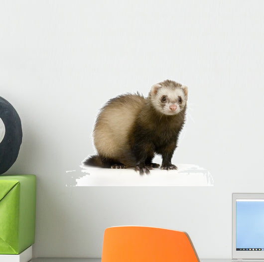 Furet 2 Wall Decal