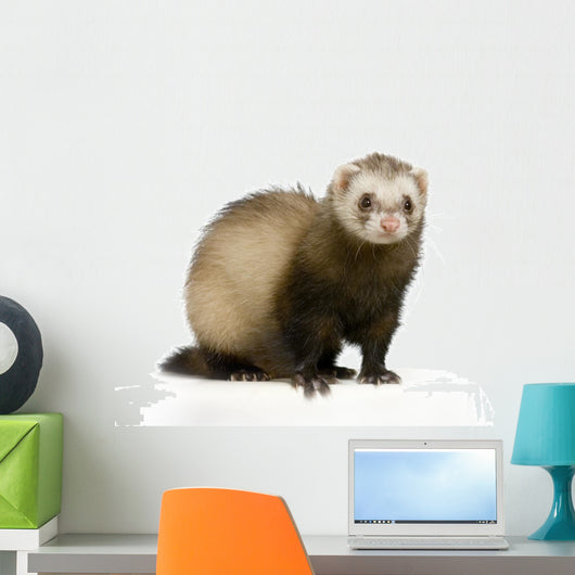 Furet 2 Wall Decal