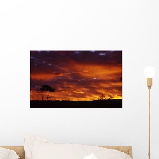Sunset Wall Decal Design 1
