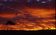 Sunset Wall Decal Design 1