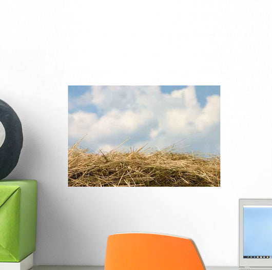 Horizon from Hay Wall Decal