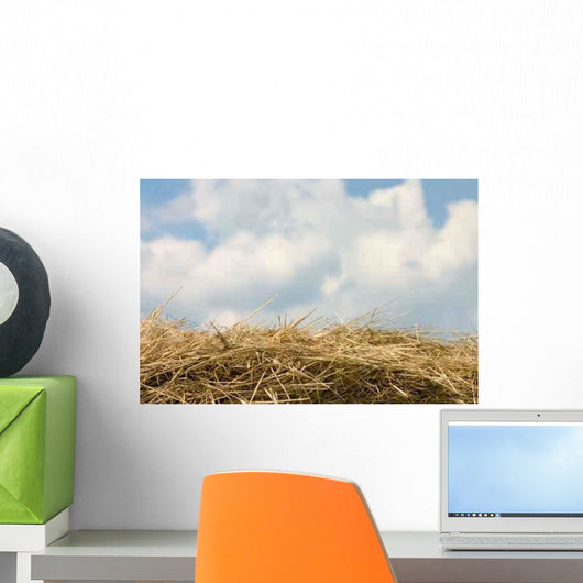 Horizon from Hay Wall Decal