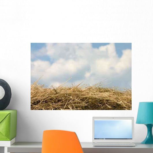 Horizon from Hay Wall Decal