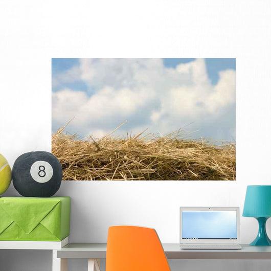 Horizon from Hay Wall Decal