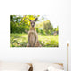 Kangaroo Open Field Wall Decal