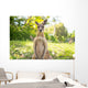 Kangaroo Open Field Wall Decal