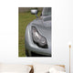 Tvr Headlight Wall Decal