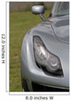 Tvr Headlight Wall Decal