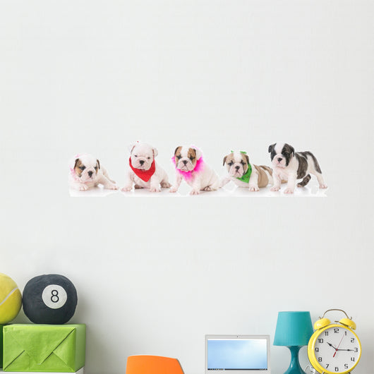 Litter Bulldog Puppies Wall Decal Panoramic Wall Decal