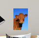 Cow Wall Decal