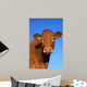 Cow Wall Decal