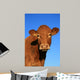 Cow Wall Decal
