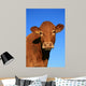 Cow Wall Decal