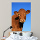 Cow Wall Decal