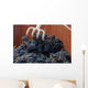 Harvest 09 Wall Decal
