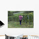 Vendanges 08 Wall Decal