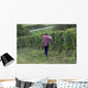 Vendanges 08 Wall Decal