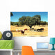 Heatwave Alentejo Wall Decal