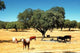 Heatwave Alentejo Wall Decal