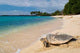 Turtle Tropical Beach Wall Decal