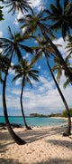 Tropical Beach Wall Decal