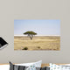Etosha African National Park Wall Decal