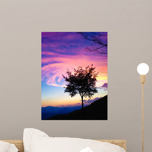 Beautiful Gradated Tree Sunset Wall Decal