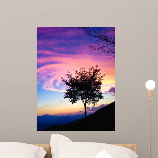 Beautiful Gradated Tree Sunset Wall Decal
