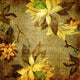 Golden Flowers Wall Decal