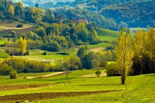 Croatian Countryside Wall Decal
