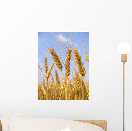 Wheat before Harvest Wall Decal