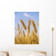 Wheat before Harvest Wall Decal