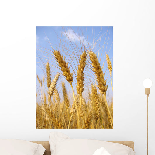 Wheat before Harvest Wall Decal