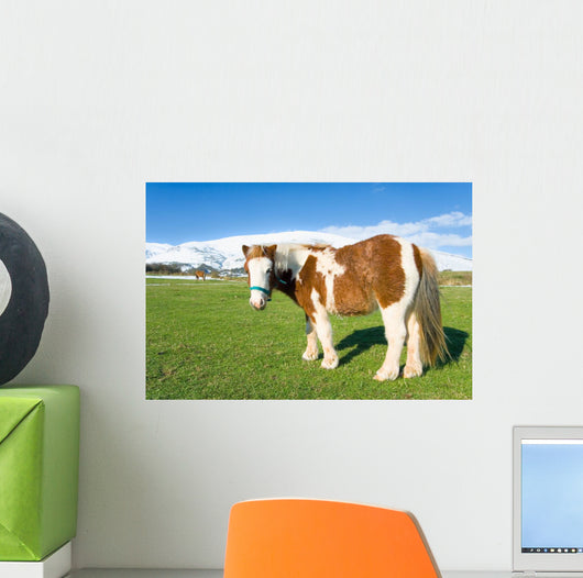 Pony Alto Campoo Cantabria Wall Decal