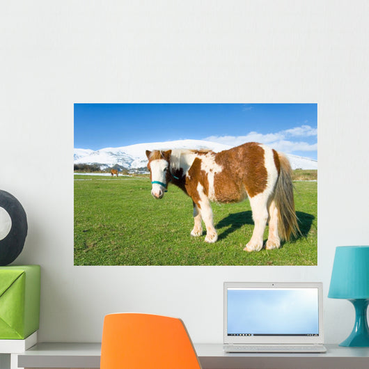 Pony Alto Campoo Cantabria Wall Decal