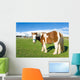 Pony Alto Campoo Cantabria Wall Decal