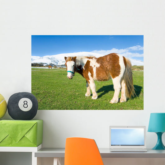 Pony Alto Campoo Cantabria Wall Decal