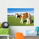 Pony Alto Campoo Cantabria Wall Decal