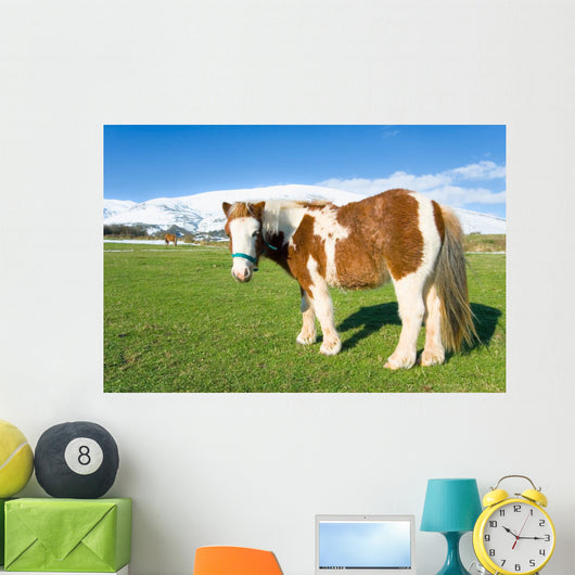 Pony Alto Campoo Cantabria Wall Decal