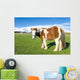 Pony Alto Campoo Cantabria Wall Decal