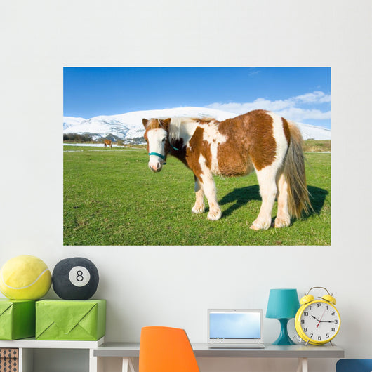 Pony Alto Campoo Cantabria Wall Decal