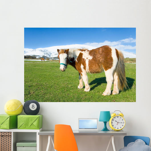 Pony Alto Campoo Cantabria Wall Decal