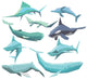Polygonal Sea Animals Collection Wall Decal Sticker Set